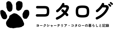 コタログ