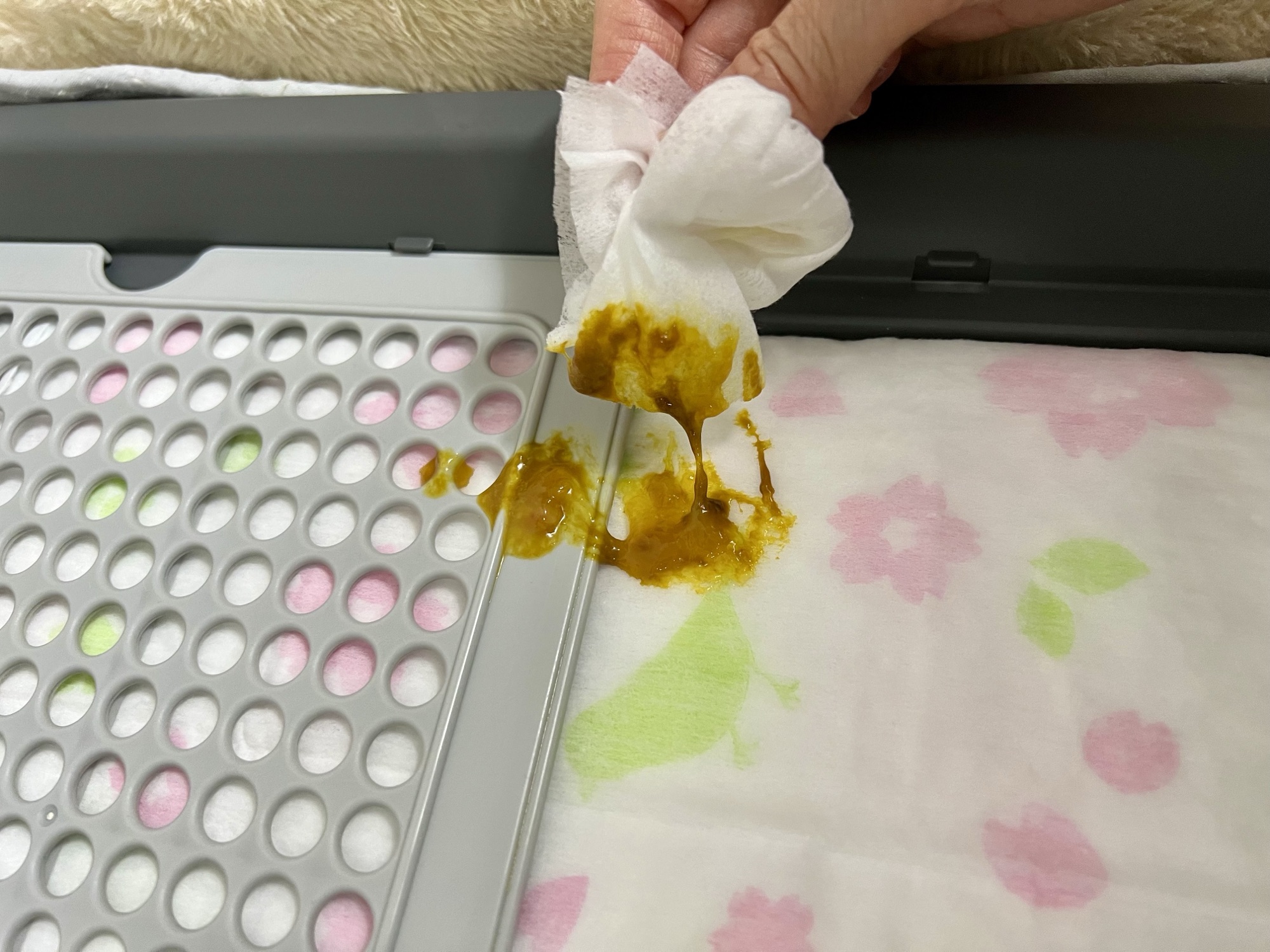 大腸炎になったコタローの黄色っぽいゼリー状の便と粘り気のある排泄物