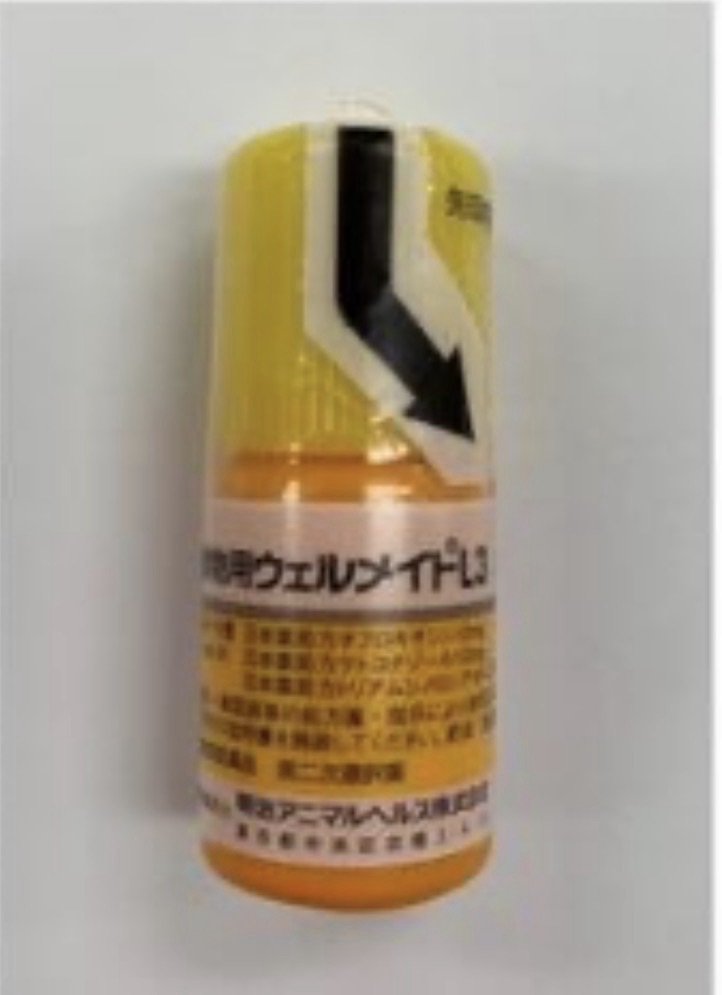 コタローが外耳炎の治療で処方された点耳薬「ウェルメイトL3」